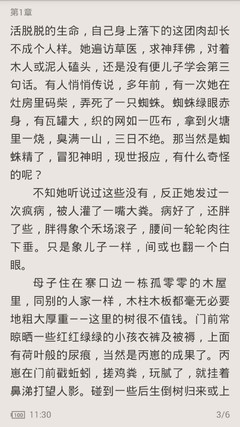 在菲律宾被遣送什么时候能够再次入境？_菲律宾签证网